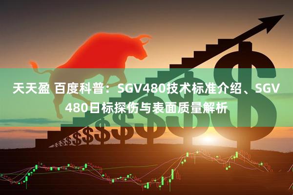 天天盈 百度科普：SGV480技术标准介绍、SGV480日标探伤与表面质量解析