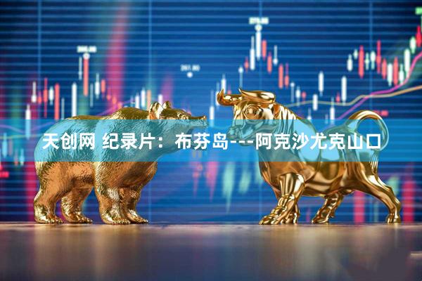 天创网 纪录片：布芬岛---阿克沙尤克山口