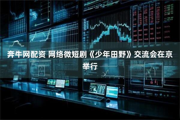 奔牛网配资 网络微短剧《少年田野》交流会在京举行