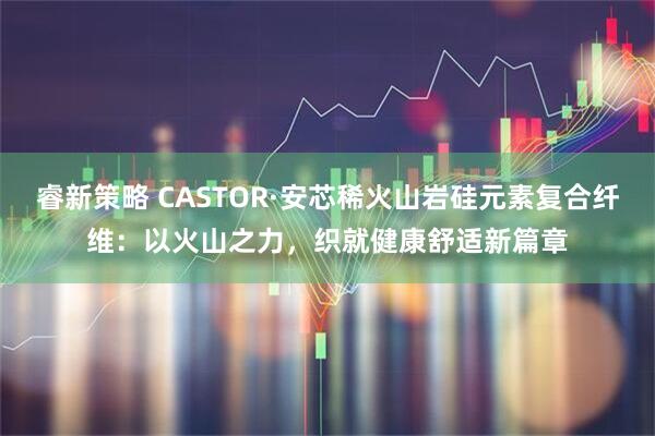 睿新策略 CASTOR·安芯稀火山岩硅元素复合纤维：以火山之力，织就健康舒适新篇章